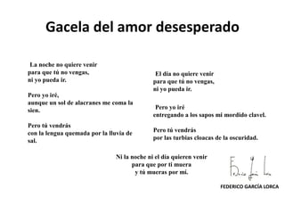 Gacela del amor desesperado
La noche no quiere venir
para que tú no vengas,
ni yo pueda ir.
Pero yo iré,
aunque un sol de alacranes me coma la
sien.
Pero tú vendrás
con la lengua quemada por la lluvia de
sal.
El día no quiere venir
para que tú no vengas,
ni yo pueda ir.
Pero yo iré
entregando a los sapos mi mordido clavel.
Pero tú vendrás
por las turbias cloacas de la oscuridad.
Ni la noche ni el día quieren venir
para que por ti muera
y tú mueras por mí.
FEDERICO GARCÍA LORCA
 