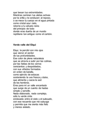 que besan tus extremidades.
Mientras caminan tus aletas activas
por la orilla y te conducen al reposo,
o se mece tu cuerpo en el agua pintada
como cristal azur cielo,
retorno a tu vetusto reino
del principio de todo
donde eras dueña de un mundo
reptiliano tan antiguo como el carbón.
Verde valle del Elqui
Elqui, te percibí con mis ojos
que vieron el verdor
de tus profundidades.
Ese color de plena naturaleza
que se atrevía a subir por las colinas,
por las faldas de los cerros
cenicientos y despoblados,
con sus viñedos formados
en orden de batalla,
como ejército de estacas
sosteniendo la uva fresca y dulce,
que alimenta y sacia la sed
de los hombres.
Eres para mí un valle encantado
que surge de un cuento de hadas
simple y sencillo.
Nada elaborado, nada complejo,
sólo tu verde cinta
enclavada entre el cielo y el subsuelo,
con ese recuerdo que me subyuga
y permite que me sienta más feliz
y menos aislado.
 
