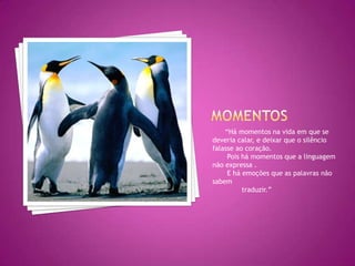 Momentos      “Há momentos na vida em que se deveria calar, e deixar que o silêncio falasse ao coração.       Pois há momentos que a linguagem não expressa .       E há emoções que as palavras não sabem              traduzir.”