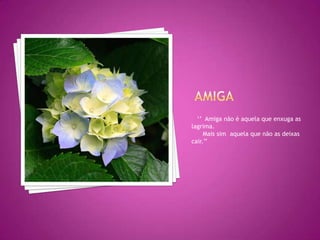    ‘’  Amiga não é aquela que enxuga as lagrima.     Mais sim  aquela que não as deixas cair.’’Amiga