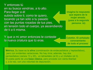 Y entonces tú en su busca vendrías, a lo alto.  Para llegar a él subida sobre ti, como te quiero,  tocando ya tan sólo a tu pasado con las puntas rosadas de tus pies,  en tensión todo el cuerpo, ya ascendiendo de ti a ti misma. Y que a mi amor entonces le conteste  la nueva criatura que tú eras. imagina la respuesta  que espera de la  mujer amada:  (pasa a la segunda persona:  tú). Colofón. El anhelado  coronamiento  de todo el proceso . Métrica.  Su base es la  silva  (combinación de endecasílabos y heptasílabos), pero con evidentes variaciones. No hay rima; además, hay dos  pentasílabos (versos 13 y 20),  un tetrasílabo (el 9) y un trisílabo (el 3).  El poeta parte de una  base clásica , pero procede con cierta libertad  y, a la vez, con una voluntad de depuración.  