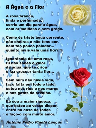A Água e a Flor
A rosa branca,
linda e perfumada,
sorria um dia para a água,
com ar maldoso e sem graça.
Como és triste água corrente,
não cheiras e não tens cor,
nem tão pouco paladar…
quanto mais vale uma flor?
Ignorância de uma rosa,
tu não sabes o valor
da água, que te criou
e faz crescer tanta flor…
Sem mim não havia vida,
faço falta em todo o lado,
estou nos rios e nos mares
e nas gotas do orvalho.
Eu sou a maior riqueza,
que estou ao vosso dispor,
entro na casa de todos
e faço-o com muito amor.

António Pedro Pinela Lanção

 