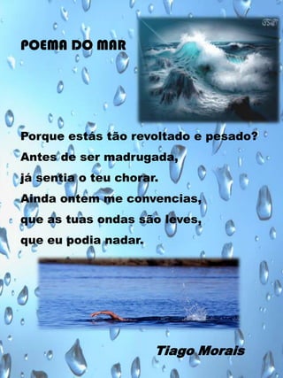 POEMA DO MAR

Porque estás tão revoltado e pesado?
Antes de ser madrugada,
já sentia o teu chorar.
Ainda ontem me convencias,
que as tuas ondas são leves,
que eu podia nadar.

Tiago Morais

 