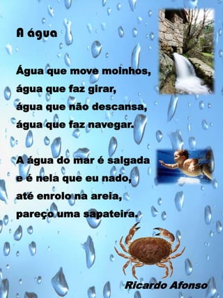 A água
Água que move moinhos,
água que faz girar,
água que não descansa,
água que faz navegar.
A água do mar é salgada
e é nela que eu nado,
até enrolo na areia,
pareço uma sapateira.

Ricardo Afonso

 