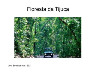 Floresta da Tijuca
Ana Beatriz e Isa - 503
 
