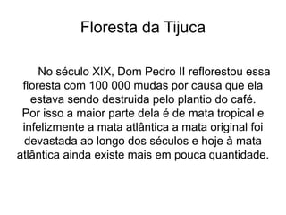 Floresta da Tijuca
No século XIX, Dom Pedro II reflorestou essa
floresta com 100 000 mudas por causa que ela
estava sendo destruida pelo plantio do café.
Por isso a maior parte dela é de mata tropical e
infelizmente a mata atlântica a mata original foi
devastada ao longo dos séculos e hoje à mata
atlântica ainda existe mais em pouca quantidade.
 
