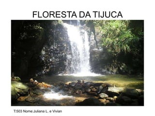 FLORESTA DA TIJUCA
T:503 Nome:Juliana L. e Vivian
 