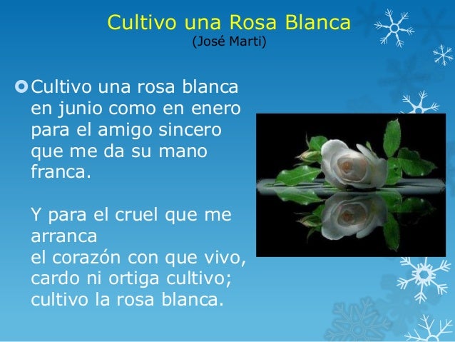 Que Sentimiento Evoca El Poema Cultivo Una Rosa Blanca es.slideshare.net