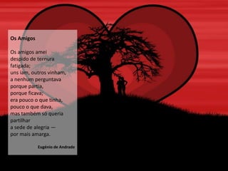 Os Amigos

Os amigos amei
despido de ternura
fatigada;
uns iam, outros vinham,
a nenhum perguntava
porque partia,
porque ficava;
era pouco o que tinha,
pouco o que dava,
mas também só queria
partilhar
a sede de alegria —
por mais amarga.

            Eugénio de Andrade
 