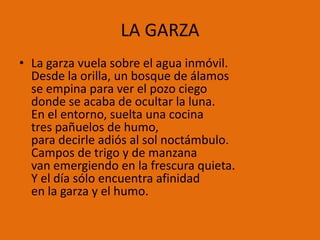 LA GARZA
• La garza vuela sobre el agua inmóvil.
  Desde la orilla, un bosque de álamos
  se empina para ver el pozo ciego
  donde se acaba de ocultar la luna.
  En el entorno, suelta una cocina
  tres pañuelos de humo,
  para decirle adiós al sol noctámbulo.
  Campos de trigo y de manzana
  van emergiendo en la frescura quieta.
  Y el día sólo encuentra afinidad
  en la garza y el humo.
 