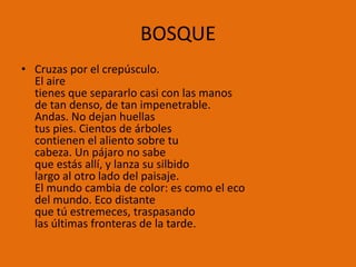 BOSQUE
• Cruzas por el crepúsculo.
  El aire
  tienes que separarlo casi con las manos
  de tan denso, de tan impenetrable.
  Andas. No dejan huellas
  tus pies. Cientos de árboles
  contienen el aliento sobre tu
  cabeza. Un pájaro no sabe
  que estás allí, y lanza su silbido
  largo al otro lado del paisaje.
  El mundo cambia de color: es como el eco
  del mundo. Eco distante
  que tú estremeces, traspasando
  las últimas fronteras de la tarde.
 