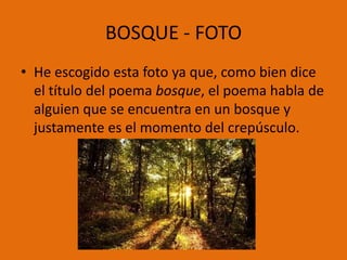 BOSQUE - FOTO
• He escogido esta foto ya que, como bien dice
  el título del poema bosque, el poema habla de
  alguien que se encuentra en un bosque y
  justamente es el momento del crepúsculo.
 