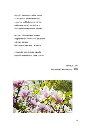 11
no chão da terra aturada e escura
as magnólias pálidas sombrias
escorrem mel torturado e morno
onde rapazes deixam o abraço
doce permanente como o pecado
o orvalho da manhã reclama as
magnólias que fecundadas devolvem
à terra o sangue
dos rapazes exaustos cansados
é manhã a terra toda de repente
desmaia atormentada nua e quente
Henrique Levy
Intensidades, euroexpress - 2001
 
