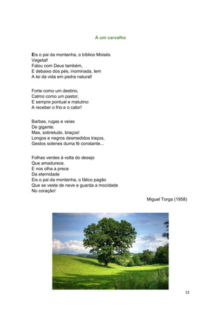 12
A um carvalho
Eis o pai da montanha, o bíblico Moisés
Vegetal!
Falou com Deus também,
E debaixo dos pés, inominada, tem
A lei da vida em pedra natural!
Forte como um destino,
Calmo como um pastor,
E sempre pontual e matutino
A receber o frio e o calor!
Barbas, rugas e veias
De gigante.
Mas, sobretudo, braços!
Longos e negros desmedidos traços,
Gestos solenes duma fé constante...
Folhas verdes à volta do desejo
Que amadurece.
E nos olha a prece
Da eternidade
Eis o pai da montanha, o fálico pagão
Que se veste de neve e guarda a mocidade
No coração!
Miguel Torga (1958)
 