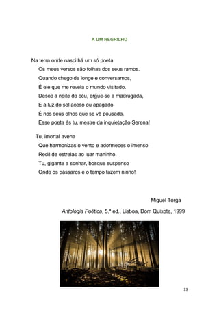 13
A UM NEGRILHO
Na terra onde nasci há um só poeta
Os meus versos são folhas dos seus ramos.
Quando chego de longe e conversamos,
É ele que me revela o mundo visitado.
Desce a noite do céu, ergue-se a madrugada,
E a luz do sol aceso ou apagado
É nos seus olhos que se vê pousada.
Esse poeta és tu, mestre da inquietação Serena!
Tu, imortal avena
Que harmonizas o vento e adormeces o imenso
Redil de estrelas ao luar maninho.
Tu, gigante a sonhar, bosque suspenso
Onde os pássaros e o tempo fazem ninho!
Miguel Torga
Antologia Poética, 5.ª ed., Lisboa, Dom Quixote, 1999
 