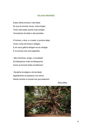 14
VELHAS ÁRVORES
Estas velhas árvores, mais belas
Do que as árvores novas, mais amigas:
Tanto mais belas quanto mais antigas,
Vencedoras da idade e das procelas...
O homem, a fera, e o inseto, à sombra delas
Vivem, livres de fomes e fadigas;
E em seus galhos abrigam-se as cantigas
E os amores das aves tagarelas.
Não choremos, amigo, a mocidade!
Envelheçamos rindo! envelheçamos
Como as árvores fortes envelhecem:
Na glória da alegria e da bondade,
Agasalhando os pássaros nos ramos,
Dando sombra e consolo aos que padecem!
Olavo Bilac
 
