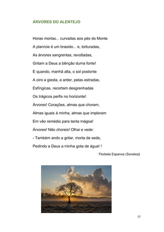 17
ÁRVORES DO ALENTEJO
Horas mortas... curvadas aos pés do Monte
A planície é um brasido... e, torturadas,
As árvores sangrentas, revoltadas,
Gritam a Deus a bênção duma fonte!
E quando, manhã alta, o sol postonte
A oiro a giesta, a arder, pelas estradas,
Esfíngicas, recortam desgrenhadas
Os trágicos perfis no horizonte!
Árvores! Corações, almas que choram,
Almas iguais à minha, almas que imploram
Em vão remédio para tanta mágoa!
Árvores! Não choreis! Olhai e vede:
- Também ando a gritar, morta de sede,
Pedindo a Deus a minha gota de água! !
Florbela Espanca (Sonetos)
 