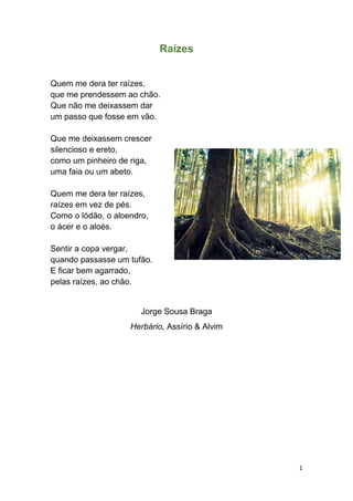 1
Raízes
Quem me dera ter raízes,
que me prendessem ao chão.
Que não me deixassem dar
um passo que fosse em vão.
Que me deixassem crescer
silencioso e ereto,
como um pinheiro de riga,
uma faia ou um abeto.
Quem me dera ter raízes,
raízes em vez de pés.
Como o lódão, o aloendro,
o ácer e o aloés.
Sentir a copa vergar,
quando passasse um tufão.
E ficar bem agarrado,
pelas raízes, ao chão.
Jorge Sousa Braga
Herbário, Assírio & Alvim
 