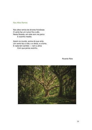 23
Nos Altos Ramos
Nos altos ramos de árvores frondosas
O vento faz um rumor frio e alto,
Nesta floresta, em este som me perco
E sozinho medito.
Assim no mundo, acima do que sinto,
Um vento faz a vida, e a deixa, e a toma,
E nada tem sentido — nem a alma
Com que penso sozinho.
Ricardo Reis
 