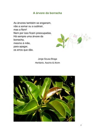 2
A árvore da borracha
As árvores também se enganam,
não a somar ou a subtrair,
mas a florir!
Nem por isso ficam preocupadas.
Há sempre uma árvore da
borracha,
mesmo à mão,
para apagar,
os erros que dão.
Jorge Sousa Braga
Herbário, Assírio & Alvim
 
