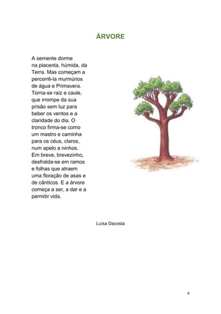 4
ÁRVORE
A semente dorme
na placenta, húmida, da
Terra. Mas começam a
percorrê-la murmúrios
de água e Primavera.
Torna-se raiz e caule,
que irrompe da sua
prisão sem luz para
beber os ventos e a
claridade do dia. O
tronco firma-se como
um mastro e caminha
para os céus, claros,
num apelo a ninhos.
Em breve, brevezinho,
desfralda-se em ramos
e folhas que atraem
uma floração de asas e
de cânticos. E a árvore
começa a ser, a dar e a
permitir vida.
Luísa Dacosta
 