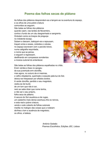 6
Poema das folhas secas de plátano
As folhas dos plátanos desprendem-se e lançam-se na aventura do espaço,
e os olhos de uma pobre criatura
comovidos as seguem.
São belas as folhas dos plátanos
quando caem, nas tardes de Novembro,
contra o fundo de um céu desgrenhado e sangrento.
Ondulam como os braços da preguiça
no indolente bocejo.
Sobem e descem, baloiçam-se e repousam,
traçam erres e esses, cicloides e volutas,
no espaço escrevem com o pecíolo breve,
numa caligrafia requintada,
o nome que se pensa,
e seguem e regressam,
dedilhando em compassos sonolentos
a música outonal do entardecer.
São belas as folhas dos plátanos espalhadas no chão.
Eram verdes e lisas no apogeu
da sua juventude erm clorofila,
mas agora, no outuno de si mesmas,
o velho citoplasma, queimado e exausto pela luz do Sol,
deixou-se trespassar por afiados ácidos.
A verde clorofila, perdido o seu magnésio,
vestiu-se de burel,
de um tom que não é cor,
nem se sabe dizer que nome tenha,
a não ser o seu próprio,
folha seca de plátano.
A secura do Sol causticou-a de rugas,
um castanho mais denso acentuou-lhe os nervos,
e esta real e pobre criatura,
vendo o solo coberto de folhas outonais
medita no malogro das coisas que a rodeiam:
dá-lhes o tom a ausência de magnésio;
os olhos, a beleza.
António Gedeão
Poemas Escolhidos, Edições JSC, Lisboa
 