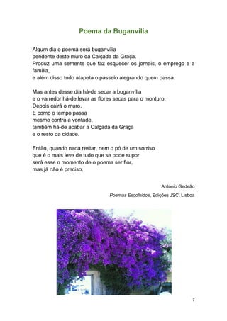 7
Poema da Buganvília
Algum dia o poema será buganvília
pendente deste muro da Calçada da Graça.
Produz uma semente que faz esquecer os jornais, o emprego e a
família,
e além disso tudo atapeta o passeio alegrando quem passa.
Mas antes desse dia há-de secar a buganvília
e o varredor há-de levar as flores secas para o monturo.
Depois cairá o muro.
E como o tempo passa
mesmo contra a vontade,
também há-de acabar a Calçada da Graça
e o resto da cidade.
Então, quando nada restar, nem o pó de um sorriso
que é o mais leve de tudo que se pode supor,
será esse o momento de o poema ser flor,
mas já não é preciso.
António Gedeão
Poemas Escolhidos, Edições JSC, Lisboa
 