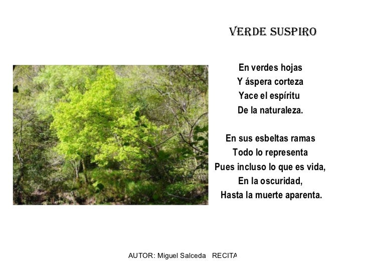 poemas sobre la naturaleza cortos poemas sobre el 225 rbol poemas sobre la naturaleza cortos poemas sobre el 225 rbol