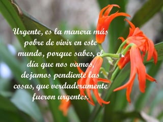 Urgente, es la manera más pobre de vivir en este mundo, porque sabes, el día que nos vamos, dejamos pendiente las cosas, que verdaderamente fueron urgentes. - 