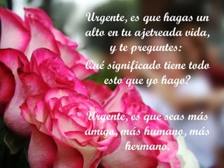 Urgente, es que hagas un alto en tu ajetreada vida, y te preguntes:  Qué significado tiene todo esto que yo hago? Urgente, es que seas más amigo, más humano, más hermano. . 