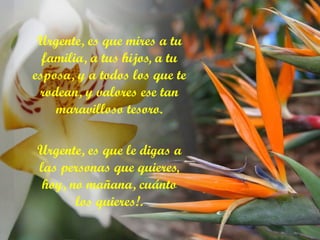 Urgente, es que mires a tu familia, a tus hijos, a tu esposa, y a todos los que te rodean, y valores ese tan maravilloso tesoro. Urgente, es que le digas a las personas que quieres, hoy, no mañana, cuánto los quieres!. 
