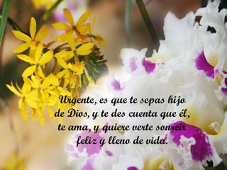 Urgente, es que te sepas hijo de Dios, y te des cuenta que él, te ama, y quiere verte sonreir feliz y lleno de vida. 