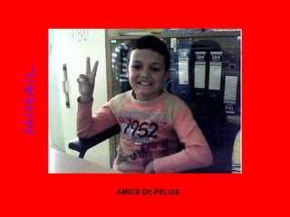MIHAIL AMICS DE PELUIX 