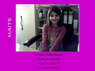 MAITE Un conill d’orelles llargues i un tigre de pèls rallats, un lleó de cara bruna i una parella de gats. 