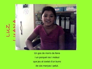 LUZ LUANA Un gos de morro de llana i un porquet ros i molsut que jeu al costat d’un burro de cos manyac i pelut. 