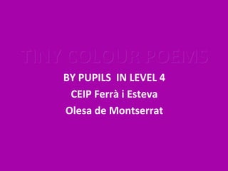 TINY COLOUR POEMS BY PUPILS  IN LEVEL 4 CEIP Ferrà i Esteva Olesa de Montserrat 