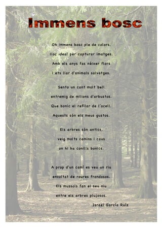 Oh immens bosc ple de colors,
lloc ideal per capturar imatges.
Amb els anys fas néixer flors
i ets llar d'animals salvatges.
Sento un cant molt bell
entremig de milions d'arbustos.
Que bonic el refilar de l’ocell.
Aquests són els meus gustos.
Els arbres són antics,
veig molts camins i caus
on hi ha conills bonics.
A prop d'un camí es veu un riu
envoltat de roures frondosos.
Els mussols fan el seu niu
entre els arbres plujosos.
Israel García Ruíz
 
