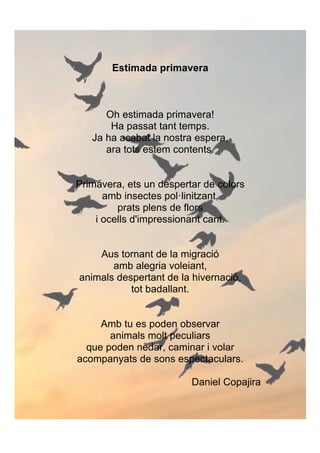 Estimada primavera
Oh estimada primavera!
Ha passat tant temps.
Ja ha acabat la nostra espera,
ara tots estem contents.
Primavera, ets un despertar de colors
amb insectes pol·linitzant,
prats plens de flors
i ocells d'impressionant cant.
Aus tornant de la migració
amb alegria voleiant,
animals despertant de la hivernació,
tot badallant.
Amb tu es poden observar
animals molt peculiars
que poden nedar, caminar i volar
acompanyats de sons espectaculars.
Daniel Copajira!
 