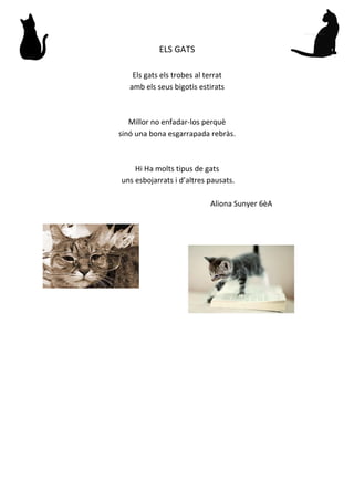 ELS GATS
Els gats els trobes al terrat
amb els seus bigotis estirats
Millor no enfadar-los perquè
sinó una bona esgarrapada rebràs.
Hi Ha molts tipus de gats
uns esbojarrats i d’altres pausats.
Aliona Sunyer 6èA
 