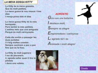 LA MEVA GOSSA KITTY
La Kitty és la meva gosseta,
Que és molt petiteta.
La meva gossa té nou mesos i tres
dies
I menja pinso tots el dies
La meva gossa Kitty és la més
boniqueta ,
Però també la més petiteta.
L’estimo més que una amigueta
Perquè és molt carinyoseta.
Cada dia sortim a passejar les
dues juntetes
I li faig moltes cosetes .
Sempre caminem a poc a poc
fins que es fa fosc.
La Kitty és molt juganera
I res de ploranera.
Li agrada saltar quan li tiro la
piloteta
i dona una volteta.
ACRÓSTIC
Gira com una ballarina.
I destaca molt,
Sempre va alegre
Emprenedora i carinyosa
Li agrada tot i és
Animada i molt alegre!
Gisela
 