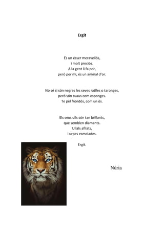 Ergit
És un ésser meravellós,
i molt preciós.
A la gent li fa por,
però per mi, és un animal d’or.
No sé si són negres les seves ratlles o taronges,
però són suaus com esponges.
Te pèl frondós, com un ós.
Els seus ulls són tan brillants,
que semblen diamants.
Ullals afilats,
i urpes esmolades.
Ergit.
Núria
 