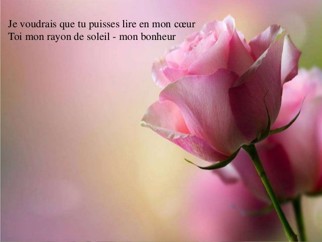 Je Voudrais Te Dire Poeme D Amour