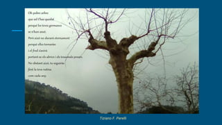 Tiziano F. Perelli
 