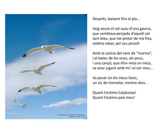 Després, baixant fins el pla...Vaig veure el vol suau d’una gavina,que semblava penjada d’aquell celtant blau, que tot pintor de mà fina,voldria robar, pel seu pinzell.Amb la carícia del vent de “marina”,i el batec de les ones, als peus,i una cançó, que d’en mica en mica,va anar jugant amb mi i el cor meu...Va posar en els meus llavis,un xic de tremolor, mentre deia...Quant t’estimo Catalunya!Quant t’estimo país meu!