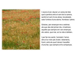 I veure el sol, daurar un camp de blat,que’s pentina amb el vent de la carena,sentint el cant d’una alosa, bocabadat,sota l’ombra d’una alzina, frondosa i plena.Gràcies, per ensenyar-me a estimar,als que des del primer dia, m’estimen,aquells que sempre em van ensenyar,els valors, que mai, en la vida s’obliden.I per fer-me sentir, l’amistat i l’amor,dins d’un món ple d’odis i dolenteria,fruint, amb els que’t donen l’escalford’una llar, que sempre et fa companyia.