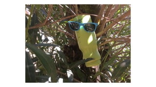 Poemes Objecte - Joan Brossa