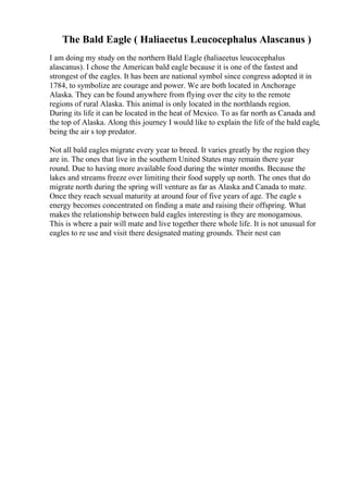 The Bald Eagle ( Haliaeetus Leucocephalus Alascanus )
I am doing my study on the northern Bald Eagle (haliaeetus leucocephalus
alascanus). I chose the American bald eagle because it is one of the fastest and
strongest of the eagles. It has been are national symbol since congress adopted it in
1784, to symbolize are courage and power. We are both located in Anchorage
Alaska. They can be found anywhere from flying over the city to the remote
regions of rural Alaska. This animal is only located in the northlands region.
During its life it can be located in the heat of Mexico. To as far north as Canada and
the top of Alaska. Along this journey I would like to explain the life of the bald eagle,
being the air s top predator.
Not all bald eagles migrate every year to breed. It varies greatly by the region they
are in. The ones that live in the southern United States may remain there year
round. Due to having more available food during the winter months. Because the
lakes and streams freeze over limiting their food supply up north. The ones that do
migrate north during the spring will venture as far as Alaska and Canada to mate.
Once they reach sexual maturity at around four of five years of age. The eagle s
energy becomes concentrated on finding a mate and raising their offspring. What
makes the relationship between bald eagles interesting is they are monogamous.
This is where a pair will mate and live together there whole life. It is not unusual for
eagles to re use and visit there designated mating grounds. Their nest can
 
