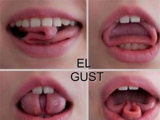 ELEL
GUSTGUST
 
