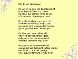 Ulls de blat (Narcís AM)
He vist en els teus ulls daurats de blat
el vent que enfilava una cançó
he deixat que els teus llavis de cotó
m’encomanin el seu regust rosat
He sentit papallones als meus dits
i llumetes al blau fosc del teu petó
resseguint amb les parpelles l’emoció
que eriçava l’aurèola del teus pits
He frisat per beure del teu alè
ambrosia del desig mai esgotat
enllaçant el teu cos tan somniat
a l’ombra tímida del meu plaer
He soterrat les mirades de l’ahir
sota un sol que llueix amb la teva imatge
fent del teu cos el bell paratge
on si puc, vull fer viure el meu morir.
 