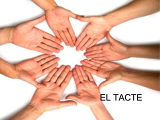 EL TACTEEL TACTE
 